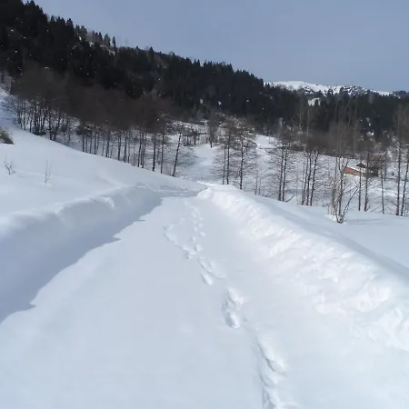 Vılla Devor Trabzon