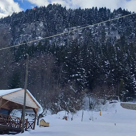 Devor Pensjonat Trabzon