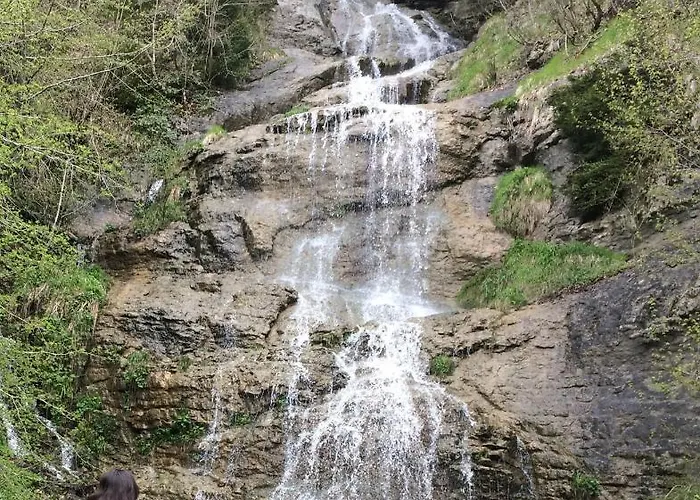 Pensjonat Devor Trabzon