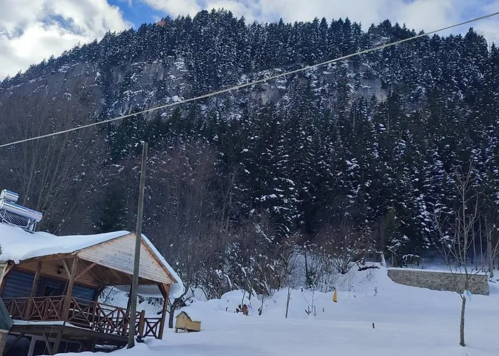 Devor Guest house Trabzon