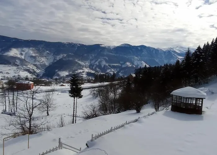 Guest house Devor 4*